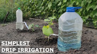 The EASIEST DRIP IRRIGATION DIY in a FEW MINUTES [upl. by Lorre]