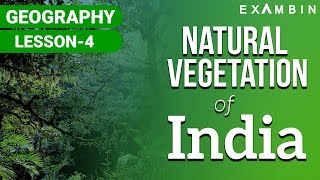 Natural Vegetation of India I Natural vegetation of INDIA UPSCIAS [upl. by Yerrok]