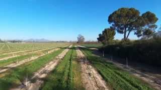 63 Acre Walnut OrchardColusa California [upl. by Shifrah]