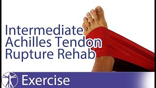 Intermediate Achilles Tendon Rupture Repair Rehab [upl. by Lothario747]