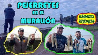 PEJERREYES EN EL MURALLÓN  PESCA METAL [upl. by Draw]