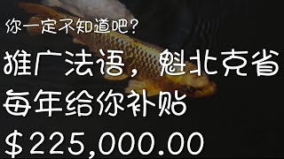 推广法语，魁省政府每年给你补贴22500000 [upl. by Akehs261]