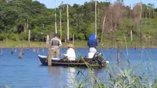 Pescaria no lago de Balbina comunidade Rumo Certo [upl. by Ludlew202]