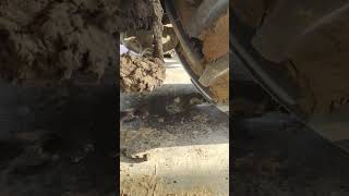 Diesel tank leaking mechancial automobile mechanic tractor [upl. by Notsirb]