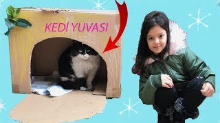 MASAL VE ÖYKÜ SOKAK KEDİLERİNE YUVA YAPTI Funny Kids Videos  Cat Love [upl. by Notlew129]