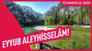 Eyyub Aleyhisselam  Peygamberler Tarihi [upl. by Hgielram]