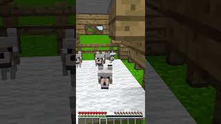 minecraft revange shorts [upl. by Sualk]