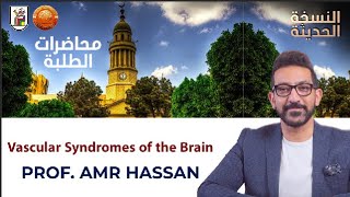 Vascular Syndromes of the Brain  أدعمرو حسن الحسني أستاذ المخ والأعصاب [upl. by Aneelad]