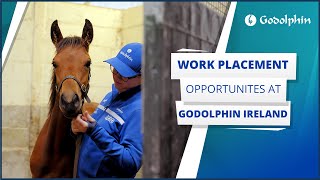 🇮🇪 Godolphin Ireland work experience opportunities [upl. by Anerbas85]