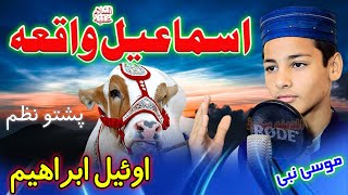 Pashto new Nazem  Owayal Ibrahim hajire zwe di tayar ka by Musa Nabi [upl. by Nytsirhc]