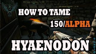 Ark Alpha Hyaenodon taming made easy [upl. by Wendye830]