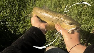 Trout Fishing In The Goulburn River [upl. by Eednim]