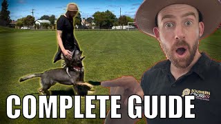 How to teach Competition Heeling Easy Guide [upl. by Ahsiuqat]