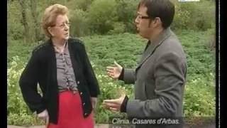 Assina falan los de Casares dArbas 1flv [upl. by Oneladgam]