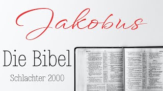 Jakobus  Die Bibel als Hörbuch Schlachter 2000 [upl. by Ellehcar]