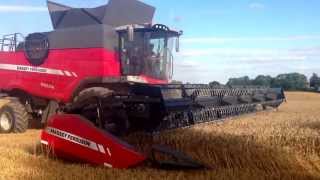 Brand New Massey Ferguson 9380 Delta combine on demonstration in the UK for the first time in wheat [upl. by Tamra]