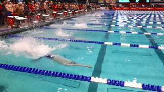 Mens 200 Medley Relay B Final  2019 NCSA Spring Swimming Championships [upl. by Sherard]