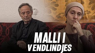 PROMO  MALLI I VENDLINDJES  Seriali më i ri shqip [upl. by Nauqaj320]