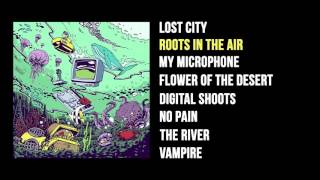 Iseo amp Dodosound  Roots in the Air Full Album [upl. by Aivila]