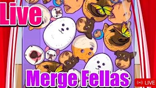 LIVE PLAYING MERGE FELLAS 3D MADNESS MADE WORLD RECORD FUN PLAY 137 [upl. by Kin113]