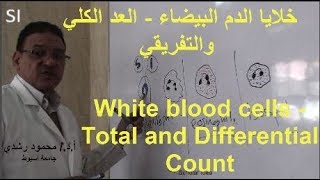 خلايا الدم البيضاء｜العد الكلي والتفريقي White blood cellsDLC [upl. by Reinold]