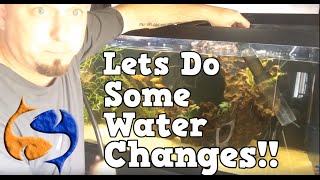 Aquarium Water Change Tricks and Tips LIVE KGTropicals [upl. by Nymrak]