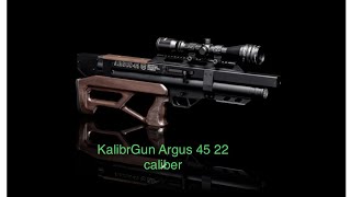 kalibrgunargus KalibrGun Argus 45W 22 caliber first USA review [upl. by Rush20]