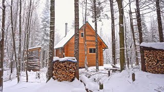 Building A Log Cabin  Ep 65  Finally a cozy place to relax in a snowstorm Winter Cabin Life [upl. by Gottlieb233]