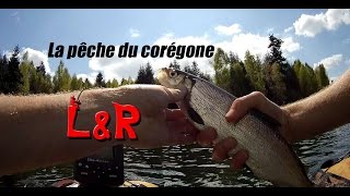 Comment pêcher le corégone  Les bases [upl. by Marge703]