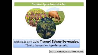 Sistema Agrosilvopastoril concepto y ejemplos  Luisito de Dios [upl. by Norabel]