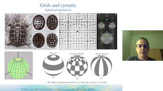 Stephane CardinauxAdvanced Geobiology Earth Grids FractalUcom wDan Winter [upl. by Ylas]