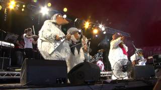 The Wombles  Remember Youre A Womble Live at Glastonbury 2011 [upl. by Katt940]