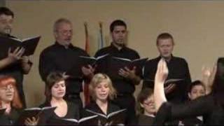 DELAT ĆU BRAJDE  Choir RONDO HISTRIAE [upl. by Marge]