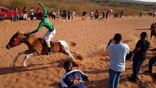 Corrida de Cavalos  Elizeu Martins 2024 [upl. by Audre]