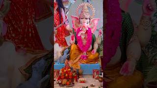 गणेश चतुर्थी स्पेशल ❤️🙏 ganeshchaturthi ganesh bappa shorts sunnyugrejiya [upl. by Janifer]