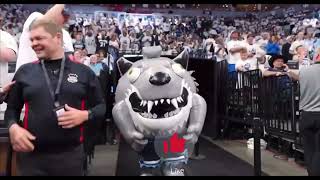 Timberwolves’ Mascot Fang eats a child in a Mavericks jersey I May 222024 nbaplayoffs2024 [upl. by Royd]