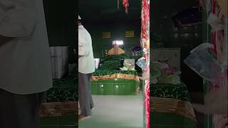 Atik Himachal Pradesh pahadpur ke bhole Baba ki Mazar [upl. by Enileuqaj924]