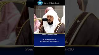 Magnifique Sourate Al Qiyama  24 [upl. by Selestina579]