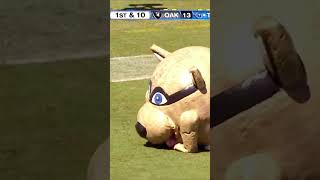 Mascot EATS Cheerleader😳🗿 shorts fypage football funnymoments nfl [upl. by Nnahtur]