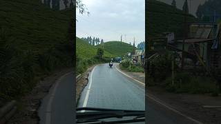 Road trip in hill station tea garden shorts viral teagarden nature travel roadtrip [upl. by Ashil]