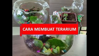 Vlog Part I  Tutorial Terarrium for beginner  terarium sukulen mudah dan sederhana [upl. by Bendix]