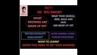 BEST VIDEO IN AMINO ACIDS AND PROTEINS [upl. by Kellina225]