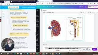 Les REINS ET le SYSTÈME URINAIRE dans le VIEILLISSEMENT PHYSIOLOGIQUE gériatrie [upl. by Imhsar848]