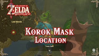 Zelda Breath of The Wild  Korok Mask Exact Location [upl. by Morten]