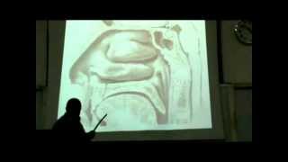 Dr Sherif Galal Neck 15 quotNose  Nasal cavity amp Paranasal sinus quot [upl. by Katt]