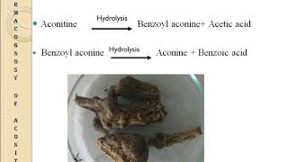 Pharmacogonosy of Aconite Root [upl. by Neirod25]