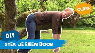 Boom stekken met de Boswachter  OERRR DIY [upl. by Chrysler]