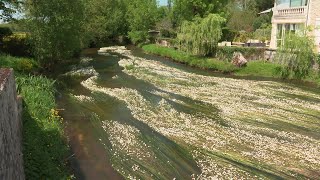 Itinéraire bis à Chazelles en Charente [upl. by Esnahc]