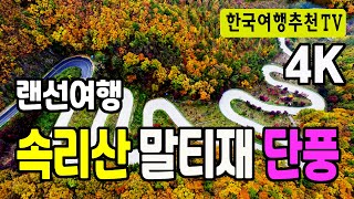 랜선여행 속리산 말티재 단풍  한국의아름다운길100선 Maltijae Maple of Songnisan Mountain in Korea Clova Dubbing 4K [upl. by Aynahs]