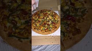 Pizza party youtubeshorts trending treandingsong partytime lovetiwana004 wmk [upl. by Eiroj]